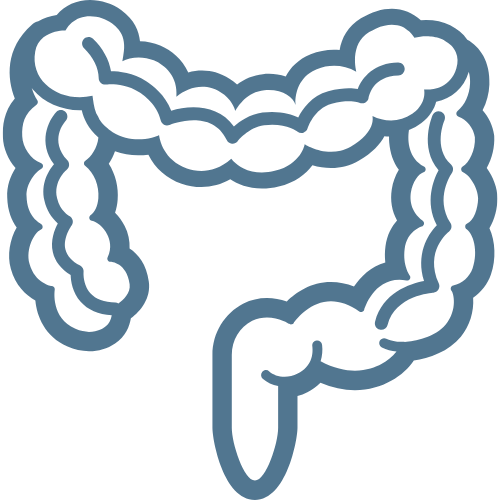 Colon-Cancer-icon
